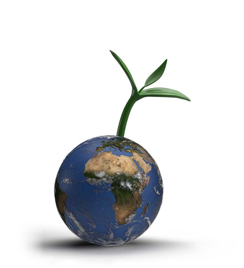 Earth with a tree growing out of it