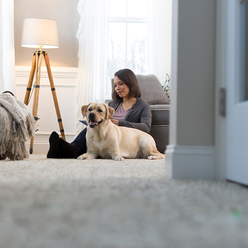 Woman sitting on carpet with a yellow Labrador.