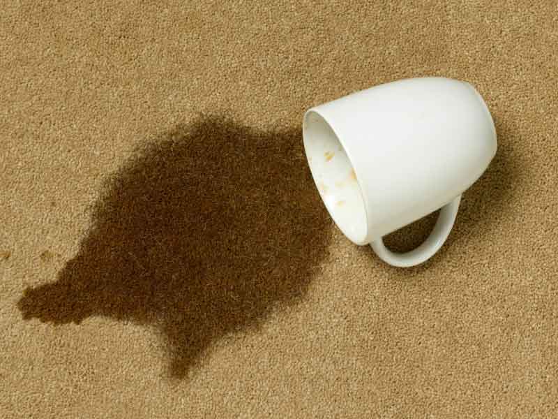 White cup spilled coffee on beige carpet.